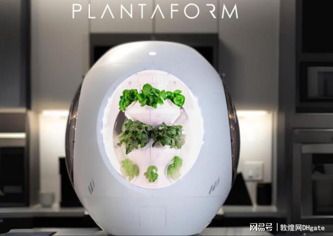 市场的黄金机会敦煌网助你轻松抢占先机！pg模拟器试玩2025年夏季家居与花园(图3)